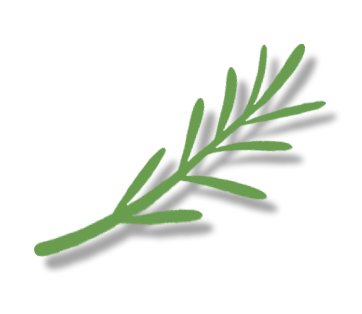 Ilustración verde de una rama de romero, elemento gráfico de Miss Croquette.